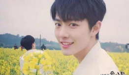 中国娱乐圈吃瓜男星小说,揭秘吃瓜男星的逆袭之路